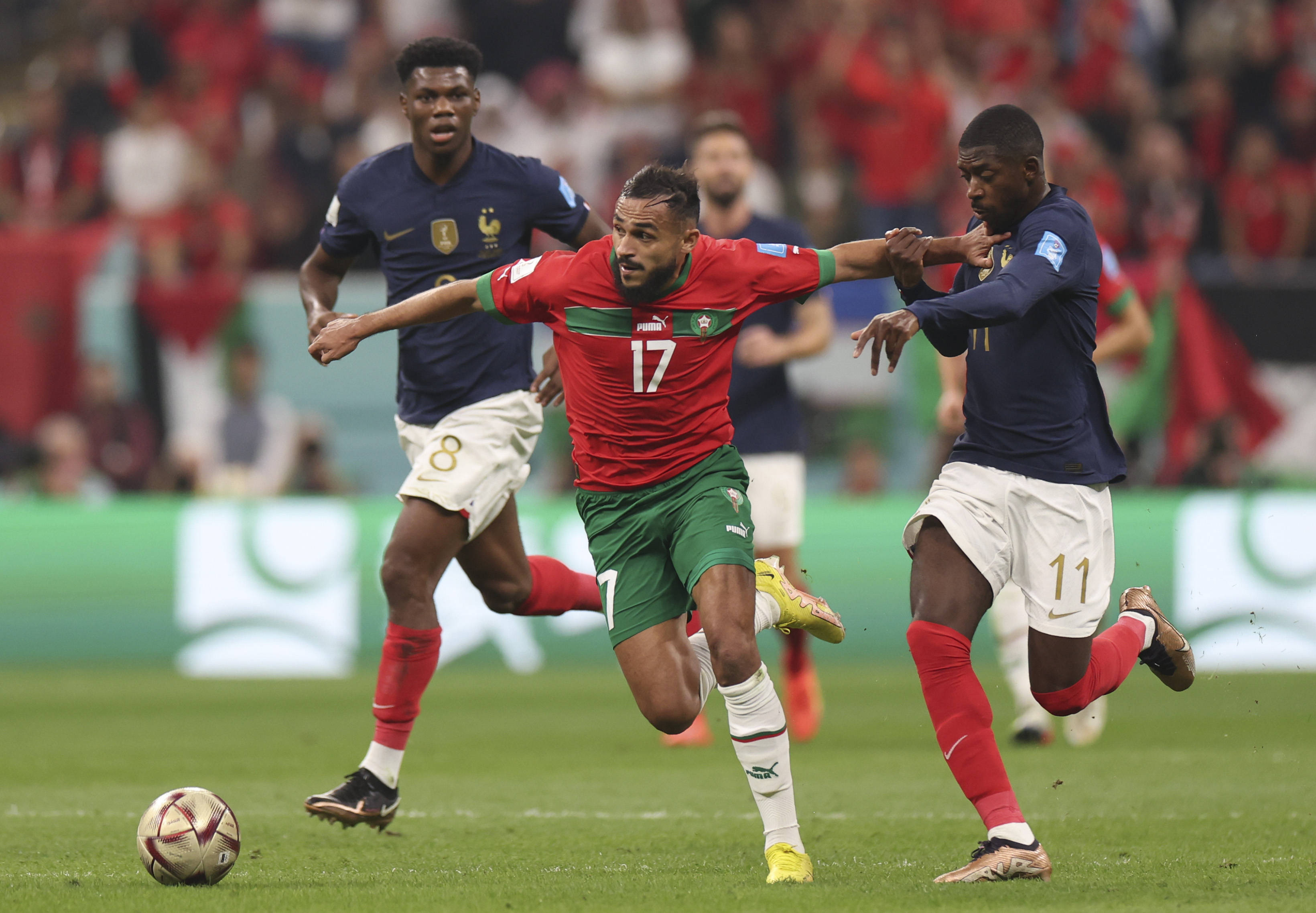 第二步是弱 第二步是弱